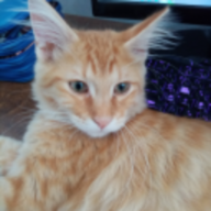 luxiiio